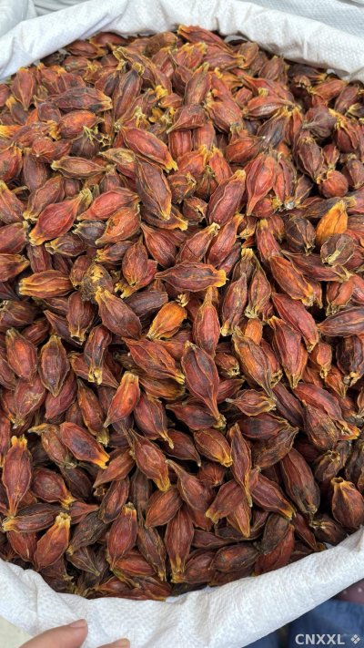 spice_4382606_b2aff703_3.jpg