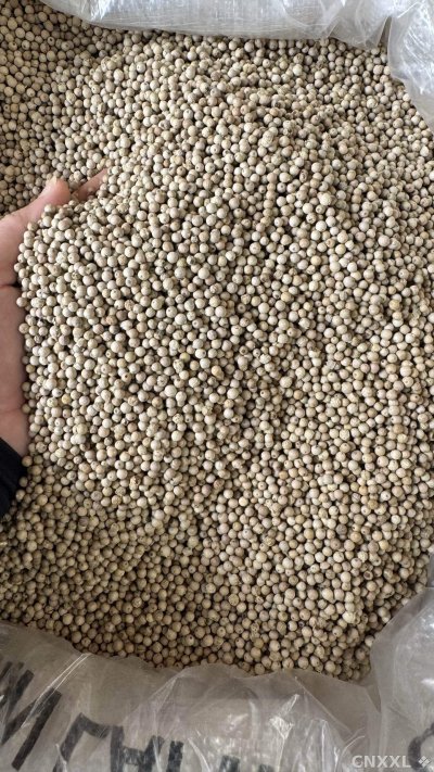 spice_4382613_7b1b7048_3.jpg