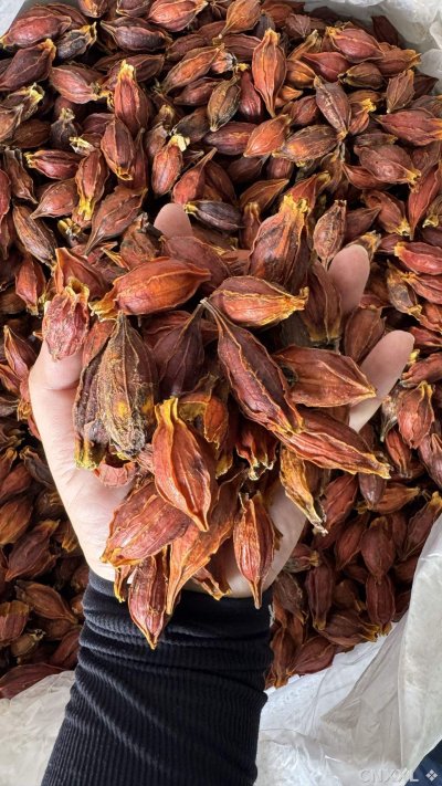spice_4413272_f365e2a2_1.jpg