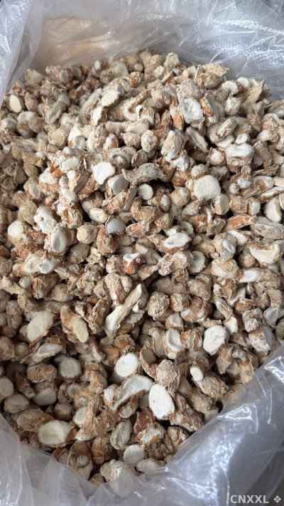 spice_4479748_ed461638_3.jpg