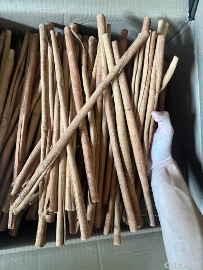 spice_4495061_47078838_3.jpg