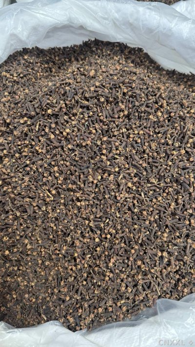 spice_4515512_b343b714_3.jpg