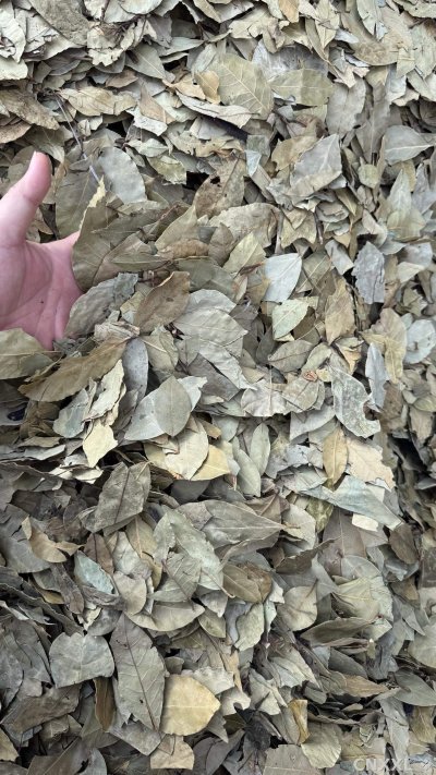 spice_4530852_f1f013de_3.jpg