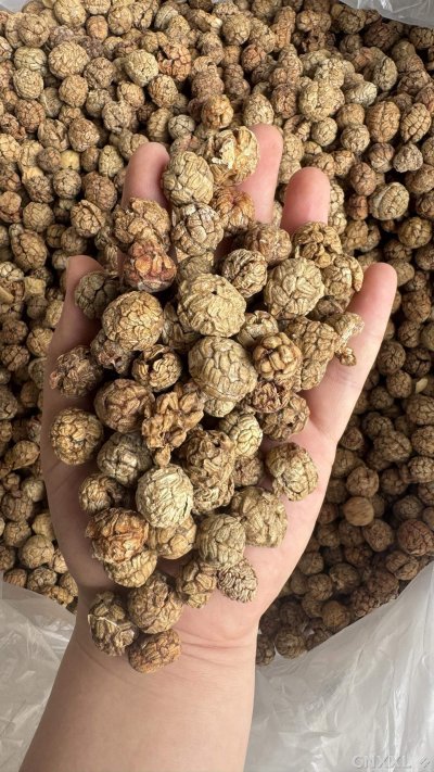 spice_457328_2c0dc55b_1.jpg