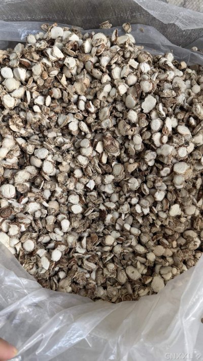 spice_4581984_6cfb26f8_3.jpg