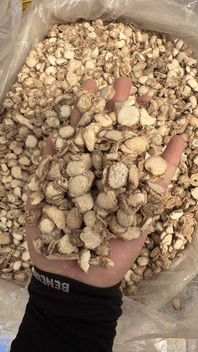 spice_4587103_4b88612e_2.jpg