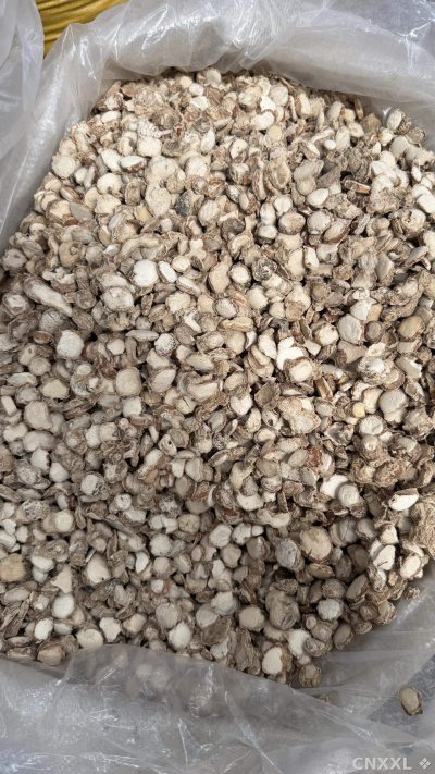 spice_4587103_8104a5ee_3.jpg