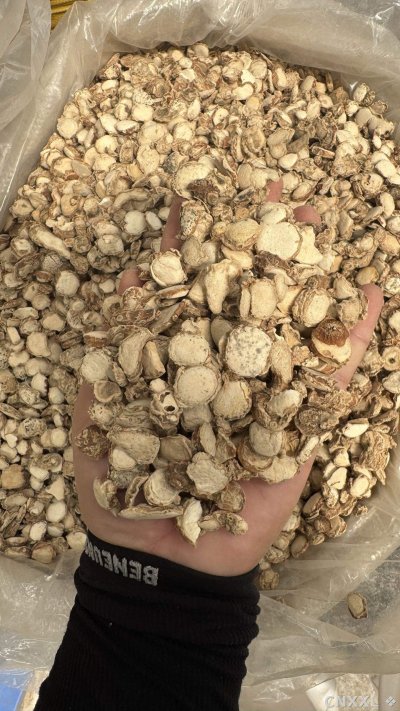 spice_4587103_85019249_1.jpg