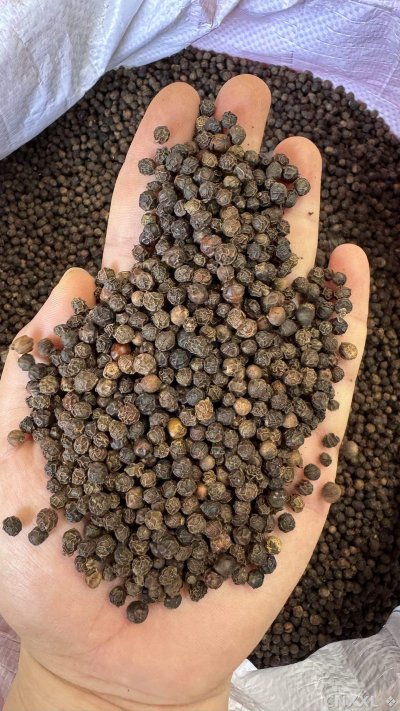 spice_4689461_19e9cce6_2.jpg
