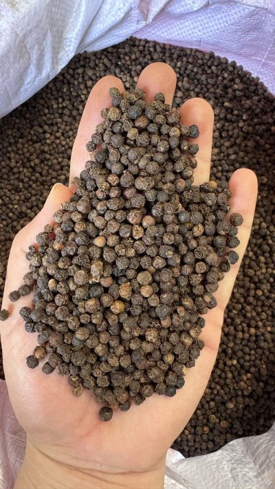 spice_4689461_9b8d684e_1.jpg