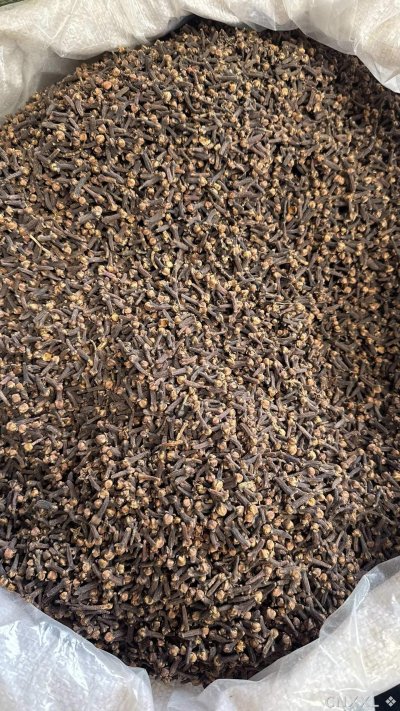 spice_4786696_49bac933_3.jpg