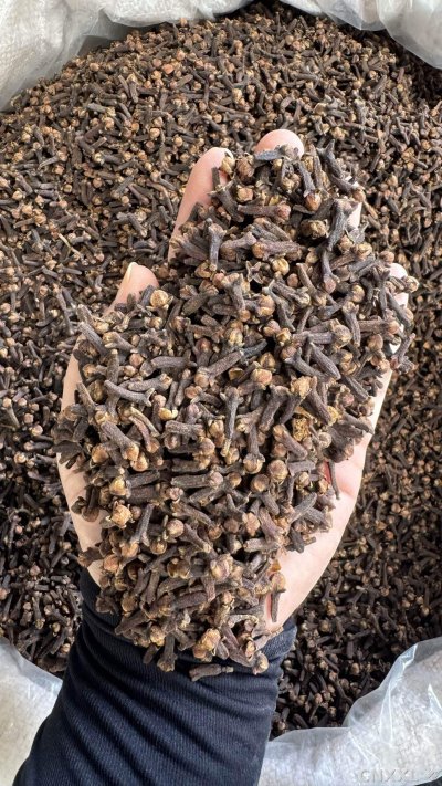 spice_4786696_50691d38_2.jpg
