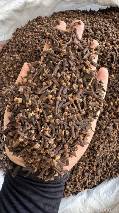 spice_4786697_3aa74c62_1.jpg