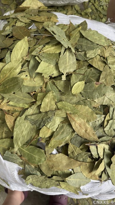 spice_4791830_6cb2f0ef_3.jpg