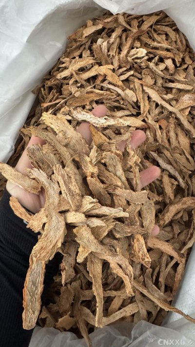spice_4843122_d72ae0b9_2.jpg