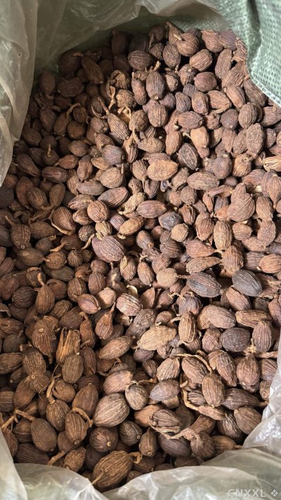 spice_4889282_129a1ada_3.jpg