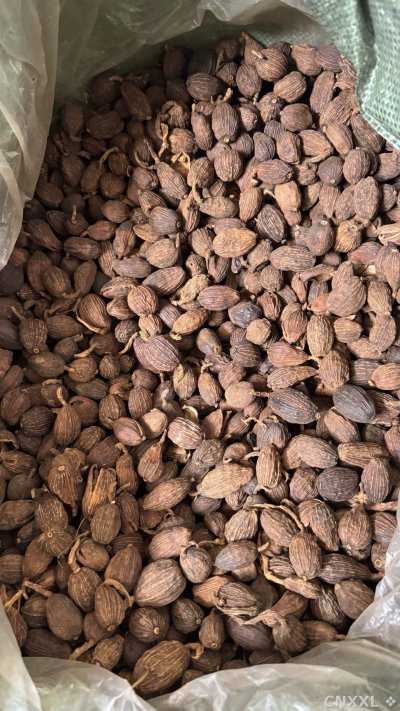 spice_4889282_fd8c1c67_2.jpg