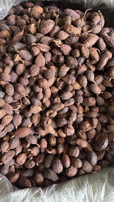 spice_4894413_c9c22464_3.jpg