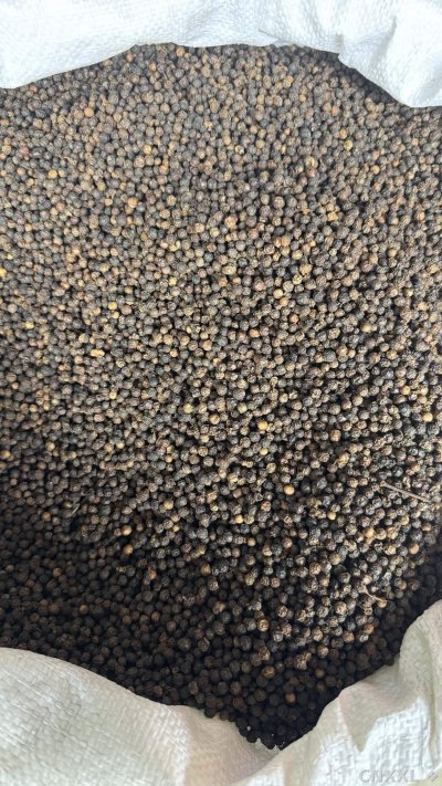 spice_4894415_80c07855_3.jpg