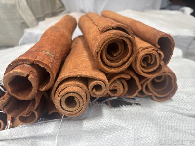 spice_4909819_809fa68e_3.jpg