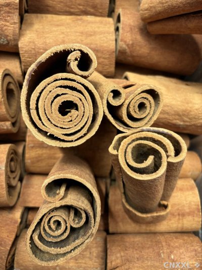 spice_4935466_0a15898f_3.jpg