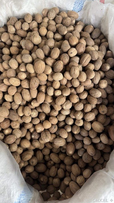 spice_4990571_256da67a_2.jpg