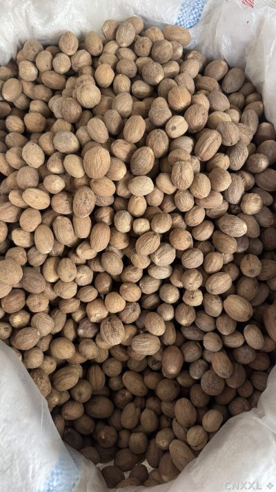 spice_4990571_5f5c4fd5_3.jpg