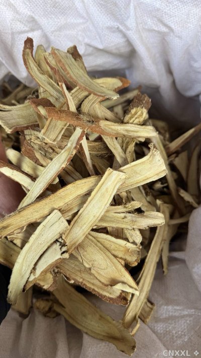 spice_5016226_27d670ab_1.jpg