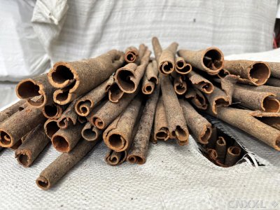 spice_5026486_5b7313dd_3.jpg