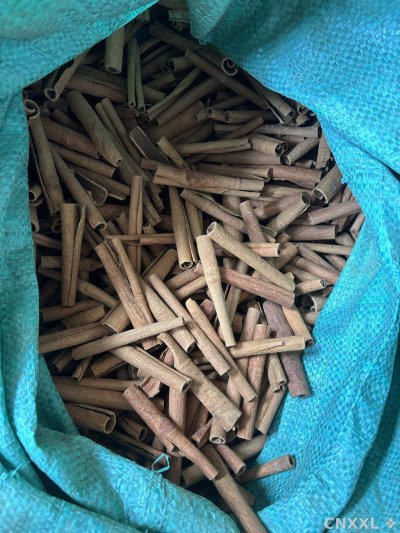 spice_5026488_73564630_3.jpg
