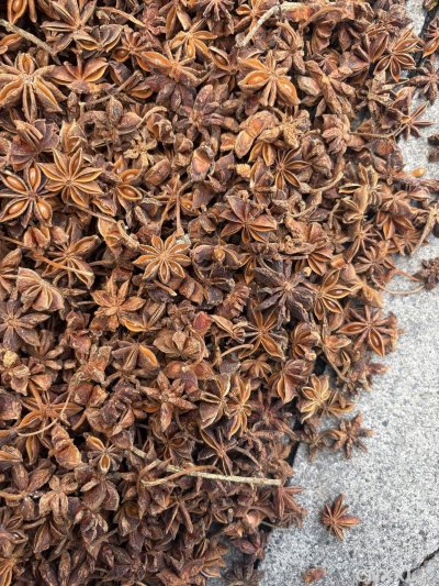 spice_5185624_9c4c83ea_3.jpg