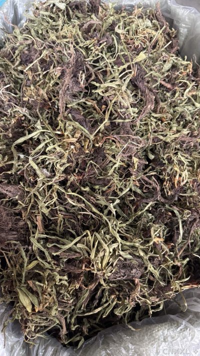 spice_5195893_186059ce_3.jpg