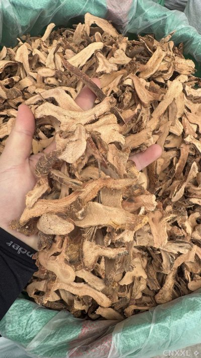 spice_557149_69f3cd89_2.jpg