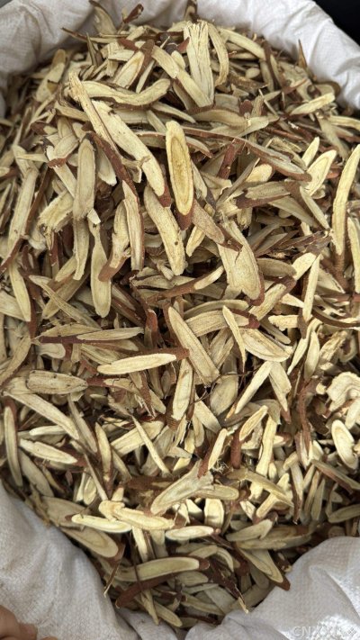 spice_11242_8804ab88_3.jpg