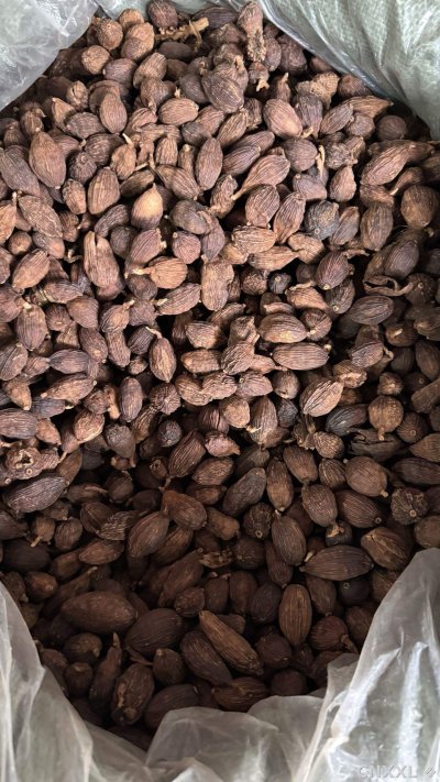 spice_12689_abed5160_3.jpg