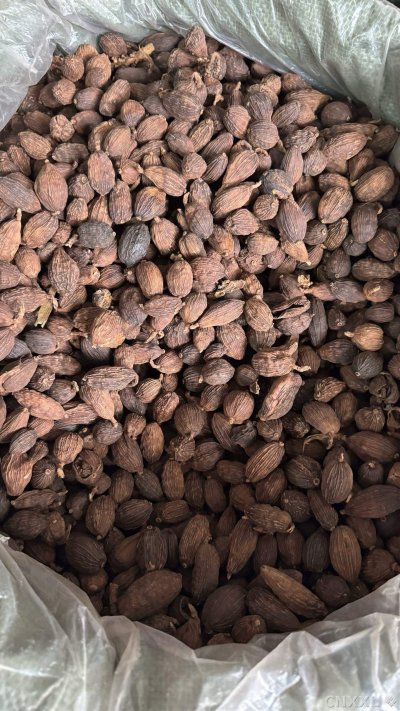 spice_12689_c0b6ad94_2.jpg