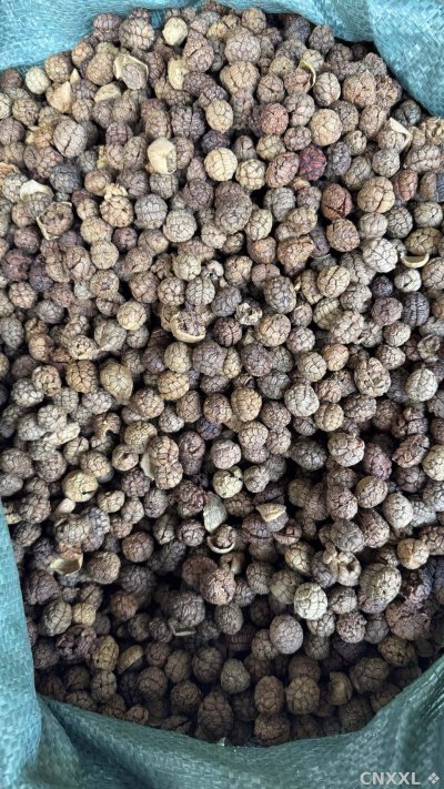 spice_14835_5caa50de_3.jpg