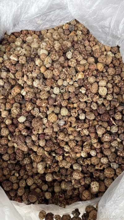 spice_14836_f238187c_3.jpg