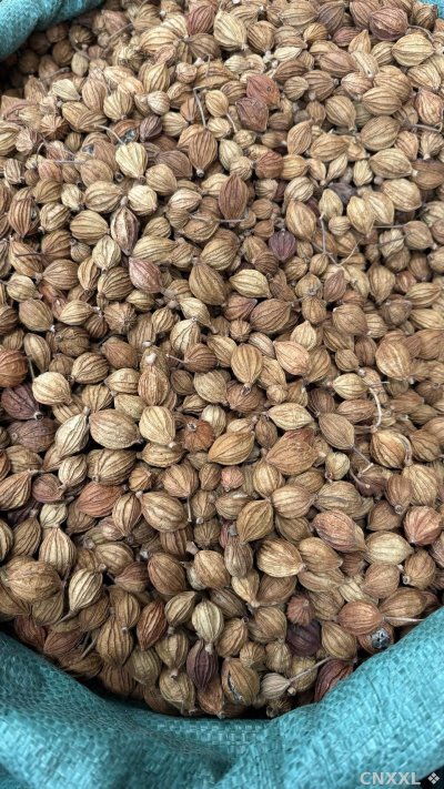 spice_1785480_d0742f3a_2.jpg