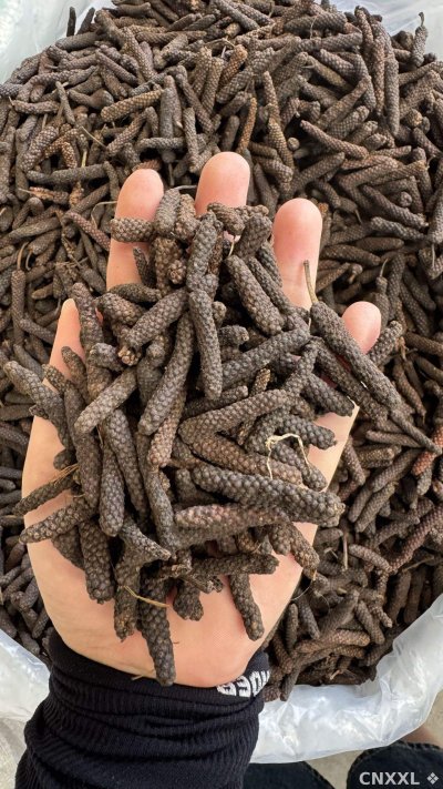 spice_18532_deca26b2_2.jpg
