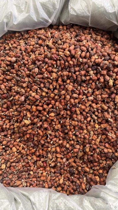 spice_2058545_e5d878f4_3.jpg
