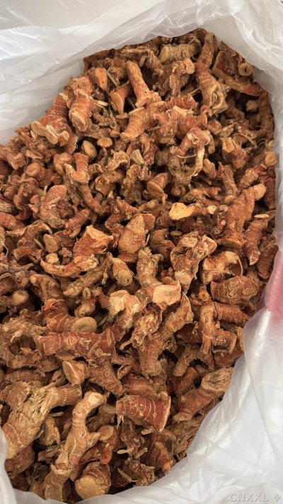 spice_25673_e5c163ed_2.jpg