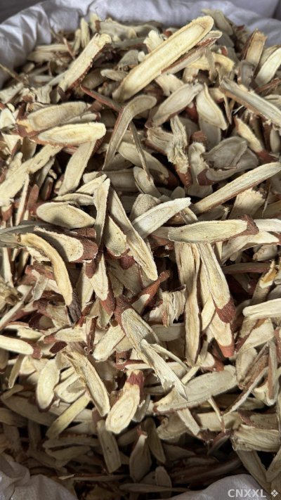 spice_27173_93deeee4_3.jpg