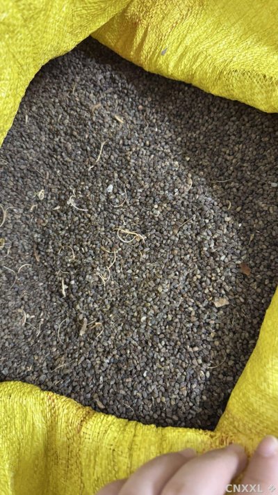 spice_362706_6b6bbba5_3.jpg