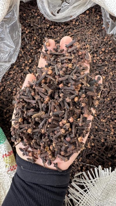 spice_3682919_59678e0f_2.jpg