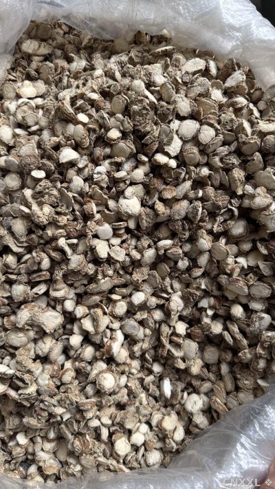 spice_4581983_941be840_3.jpg