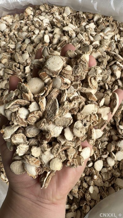 spice_4587103_c8835758_2.jpg