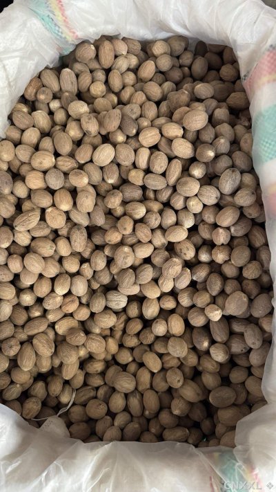 spice_4990571_b0b5aca1_3.jpg