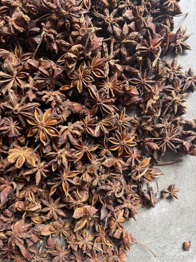 spice_5185629_32defedb_3.jpg