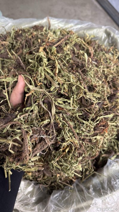 spice_5195893_96066c22_1.jpg